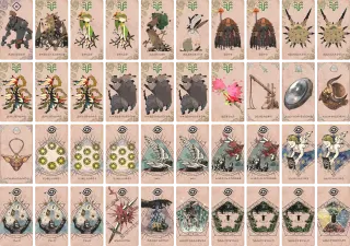 クリーンスレート のブック画像