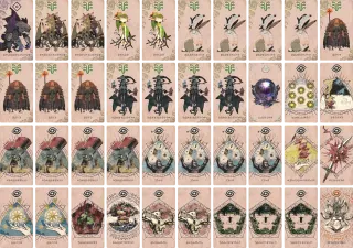 シーダモ地 のブック画像