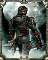 ニンジャ