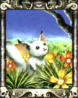 ライフフォース