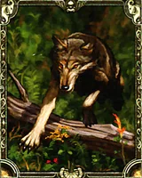 ウルフ