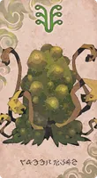 グリーンモールド
